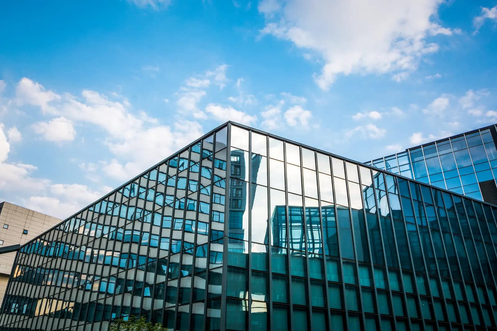 glasfolies-tegen-vogels