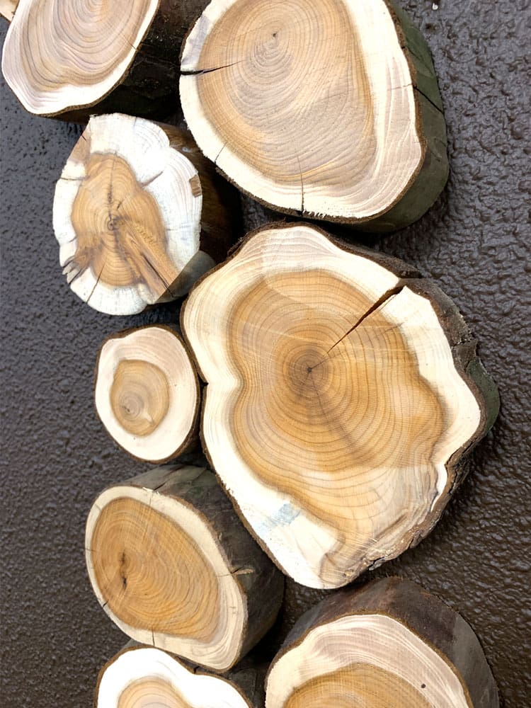 Natuurlijk houten logo