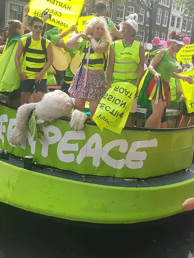 boot-reclame-wrappen bootreclame stickers